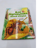 How the Ant Hurried Home. Fairy Tales 