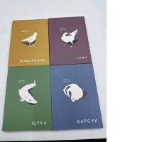 Set of 4 Brothers  books