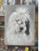 Old English Sheepdog Images