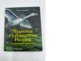 The Wonderful Journey of Nils with the Wild Geese