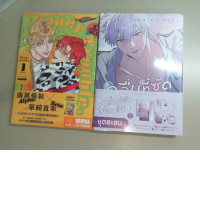 Set of 2 books in Thai, anime