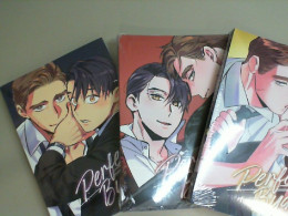 3 volumes of Perfect Buddy book, anime