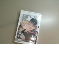 roses and champagne book vol 2 roses and champagne book vol 2