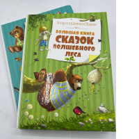 Set of 2 fairtale books