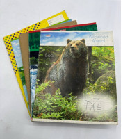 Set of 5 work notebooks