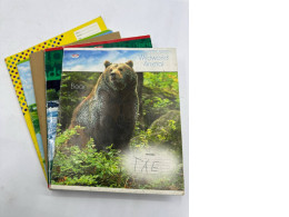 Set of 5 work notebooks