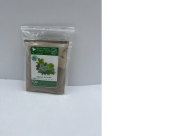WORLD HERBAL ORGANIC PLANT Bacopa Monnieri