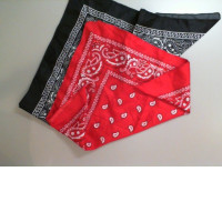 Set of 2 bandanas