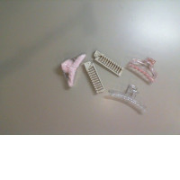 Set of 5 Hair Clips