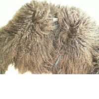 Fur Shoulder Wrap, Brown