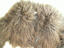 Fur Shoulder Wrap, Brown