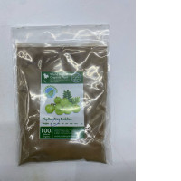 World Herbal Organic Plant Phyllanthus Emblica 
