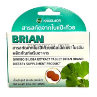 Brian Ginkgo Biloba Extract, White (10 grams*40 tablets)