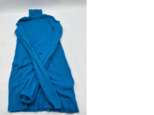 Women's Blue Turtleneck Long Sleeve Dress Women's Blue Turtleneck Long Sleeve Dress