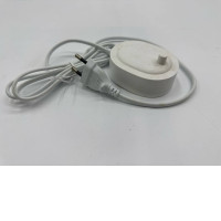 Instead of white charger