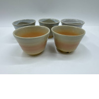 Set of 5 Glass, Japanese tea glass