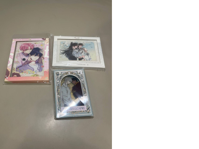 set of three acrylic photographs set of three acrylic photographs