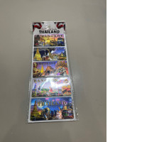set of five souvenir magnets
