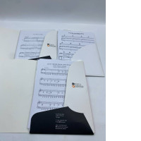 Set of notes for songs