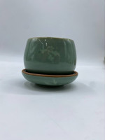 Glass of Japanese dark green tea