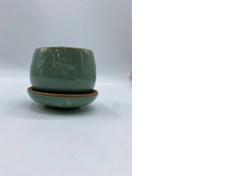 Glass of Japanese dark green tea