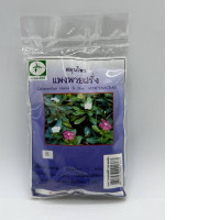 Catharanthus roseus G. Don. APOCYNACEAE