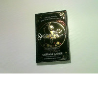 Stephanie Garber's gripping caraval novel