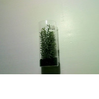 decorative plastic plant in glass tube decorative plastic plant in glass tube