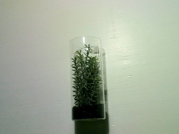 decorative plastic plant in glass tube