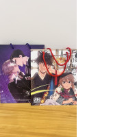 Set of 2 Anime Paper Bags