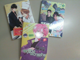Set of 3 volumes, books in Thai language. comics