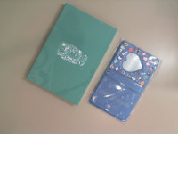 Set of 2 blue notebooks + photo album