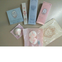 Set Flower Knows 2 sponges, makeup remover mask, 3 lip gloss, blush, brooch