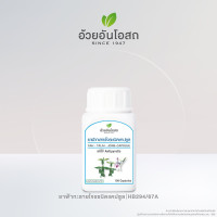 Set of 4 Uay An Osot Andrographis paniculata 