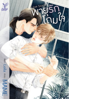 Comic books Love Storm