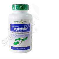 Compound houttuynia cordata extract capsule