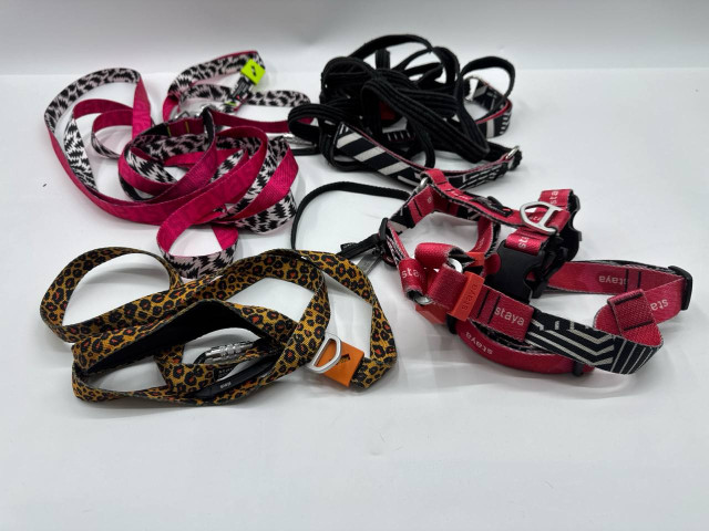 Set of 5 dog leash Set of 5 dog leash