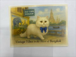 Cat postcard Cat postcard