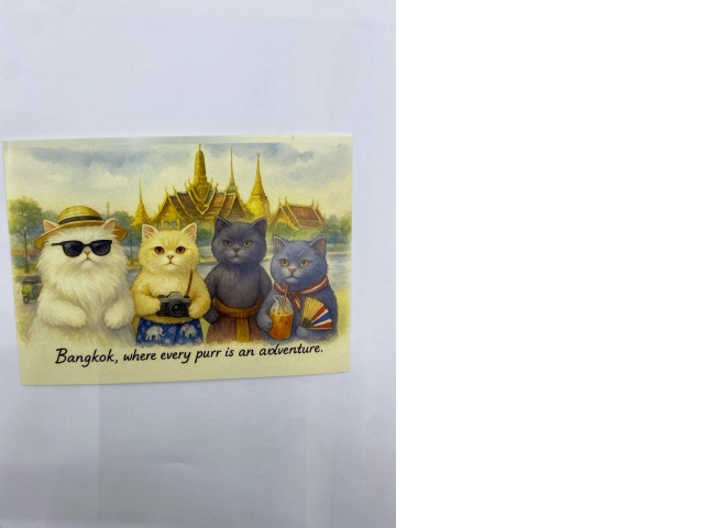 Cat postcards, souvenirs from Thailand Cat postcards, souvenirs from Thailand