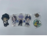 Set of keychains and badges