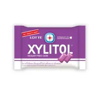 Lotte Blueberry Mint Chewing Gum 11.6g