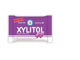 Lotte Blueberry Mint Chewing Gum 11.6g