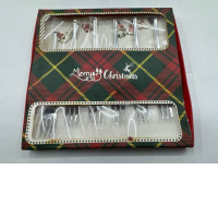 Stainless steel forks in a Christmas box 