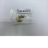 Women's gold star earrings