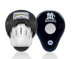 Punching Focus Mitts Model PMM01