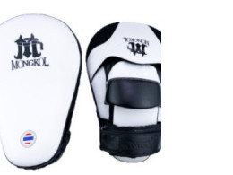 Punching Focus Mitts Model PMM03
