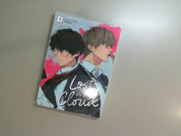 Book Lost in the Cloud. Paskim