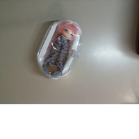 Doll in a case