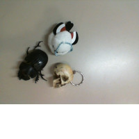 Set of 3 keychains: skull, bird and beetle
