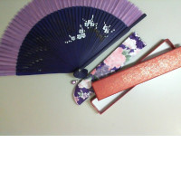 Purple fan in a case